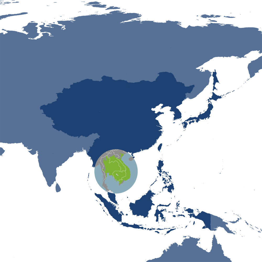 Aquatic acrobats: The playful world of smooth-coated otters in Asia
